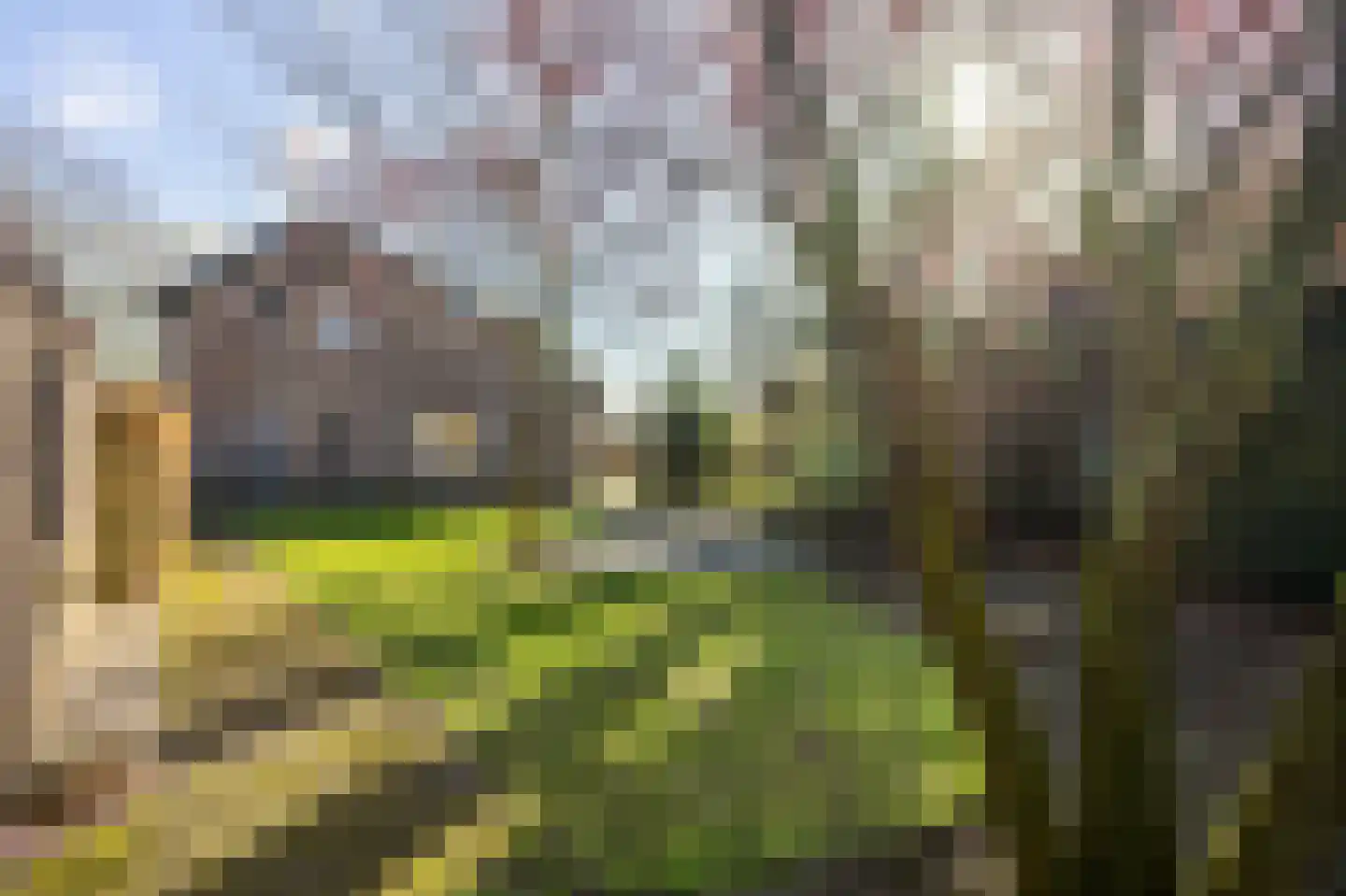 Kasteel Hillenraedtstraat 52 Roermond thumbnail 35