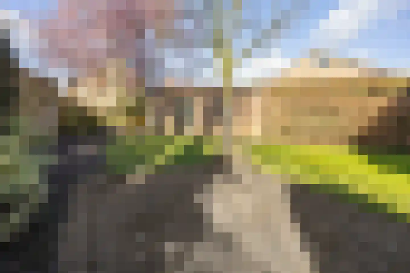 Kasteel Hillenraedtstraat 52 Roermond thumbnail 36