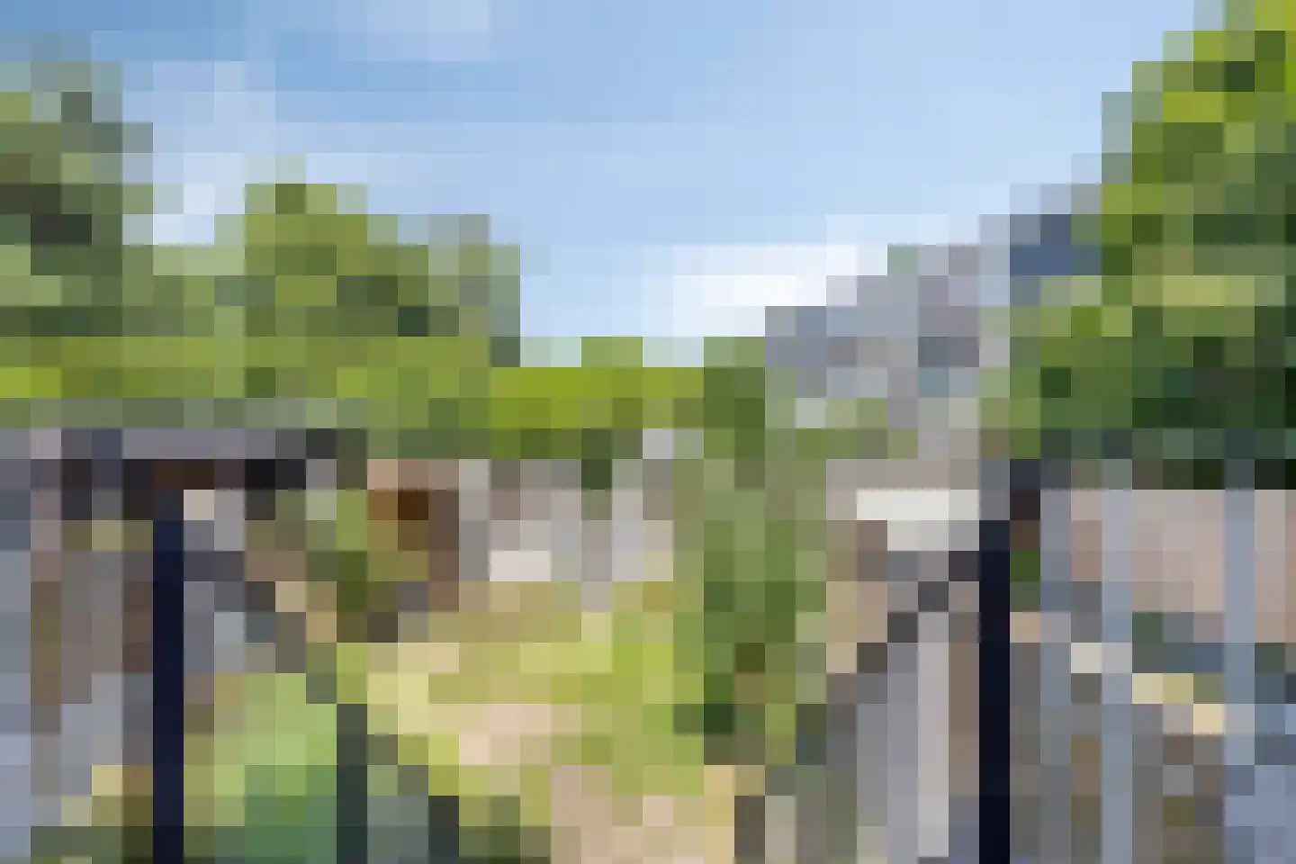 Kasteel Hillenraedtstraat 53 Roermond thumbnail 26
