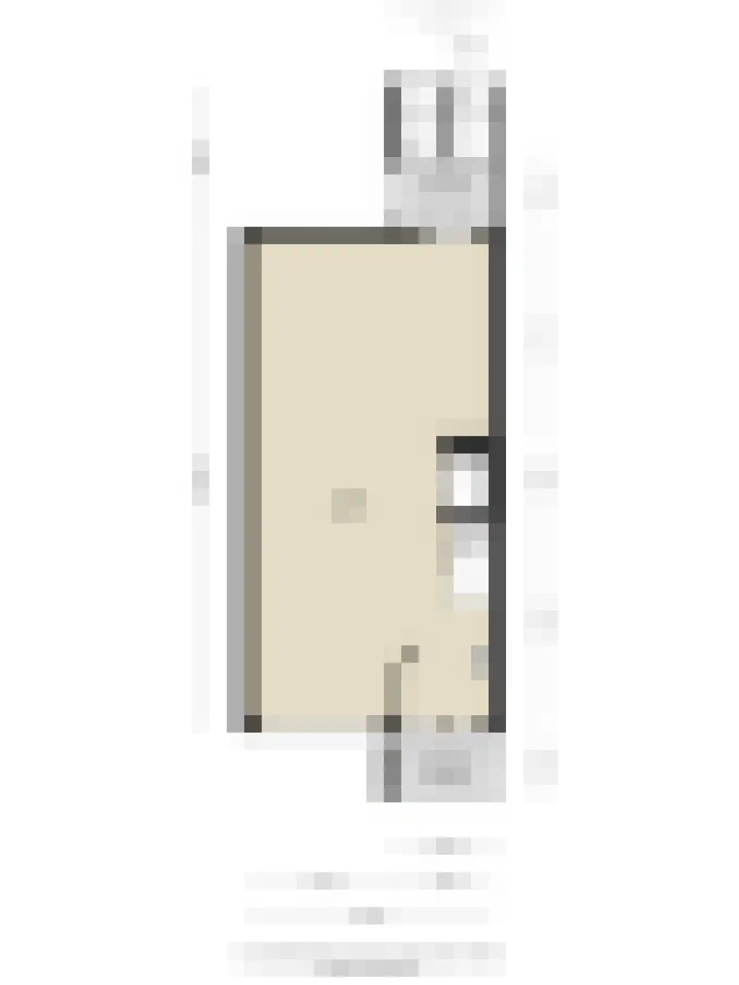 Kasteel Hillenraedtstraat 53 Roermond thumbnail 34