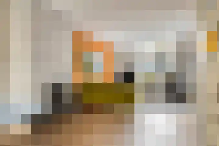 Kasteel Horionstraat 22 Roermond thumbnail 10