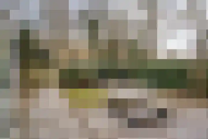 Kasteel Horionstraat 22 Roermond thumbnail 31