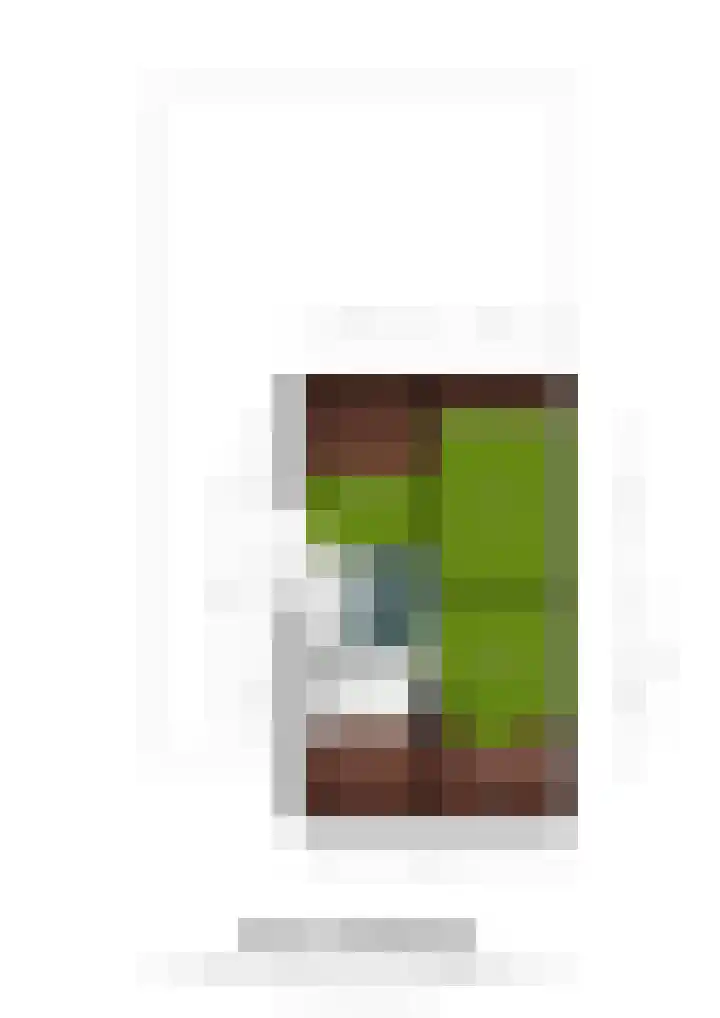 Kasteel Horionstraat 8 Roermond thumbnail 30