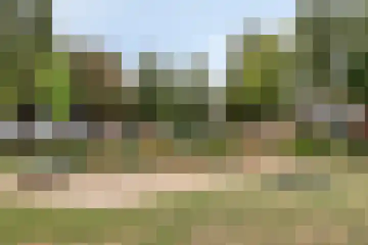 Kasteel Hornstraat 16 Roermond thumbnail 31