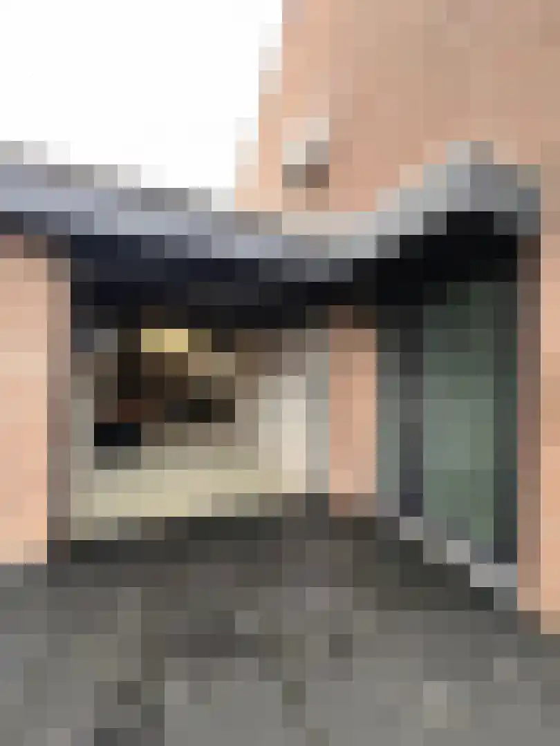 Kasteel Hornstraat 63 Roermond thumbnail 26