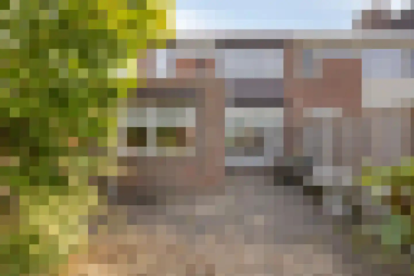 Kasteel Lichtenbergstraat 1 Tilburg thumbnail 27