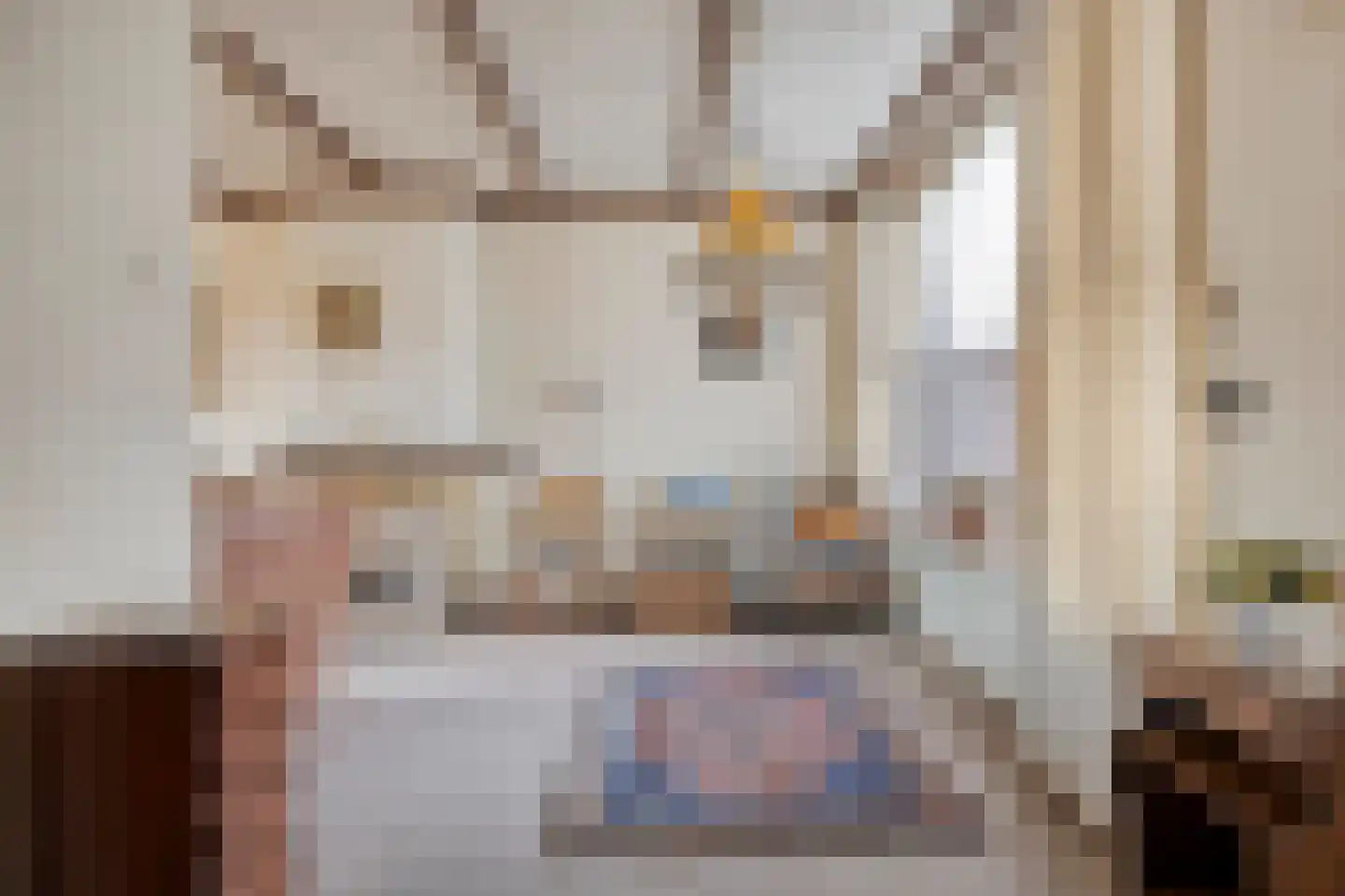 Kasteel Lichtenbergstraat 1 Tilburg thumbnail 6