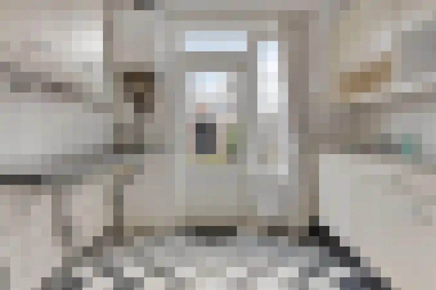 Kasteel Lichtenbergstraat 14 Tilburg thumbnail 18
