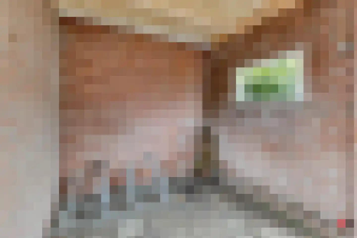 Kasteel Lichtenbergstraat 14 Tilburg thumbnail 34