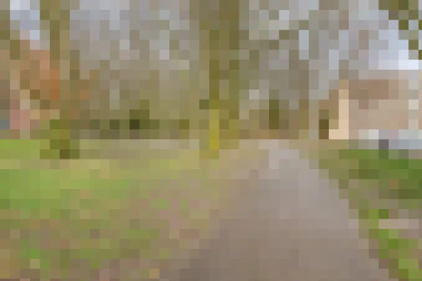 Kasteel Lichtenbergstraat 14 Tilburg thumbnail 40