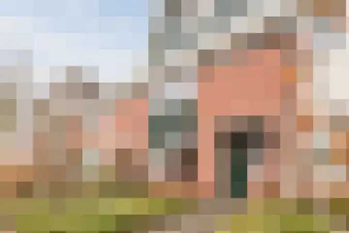 Kasteel Lichtenbergstraat 5 Tilburg thumbnail 31