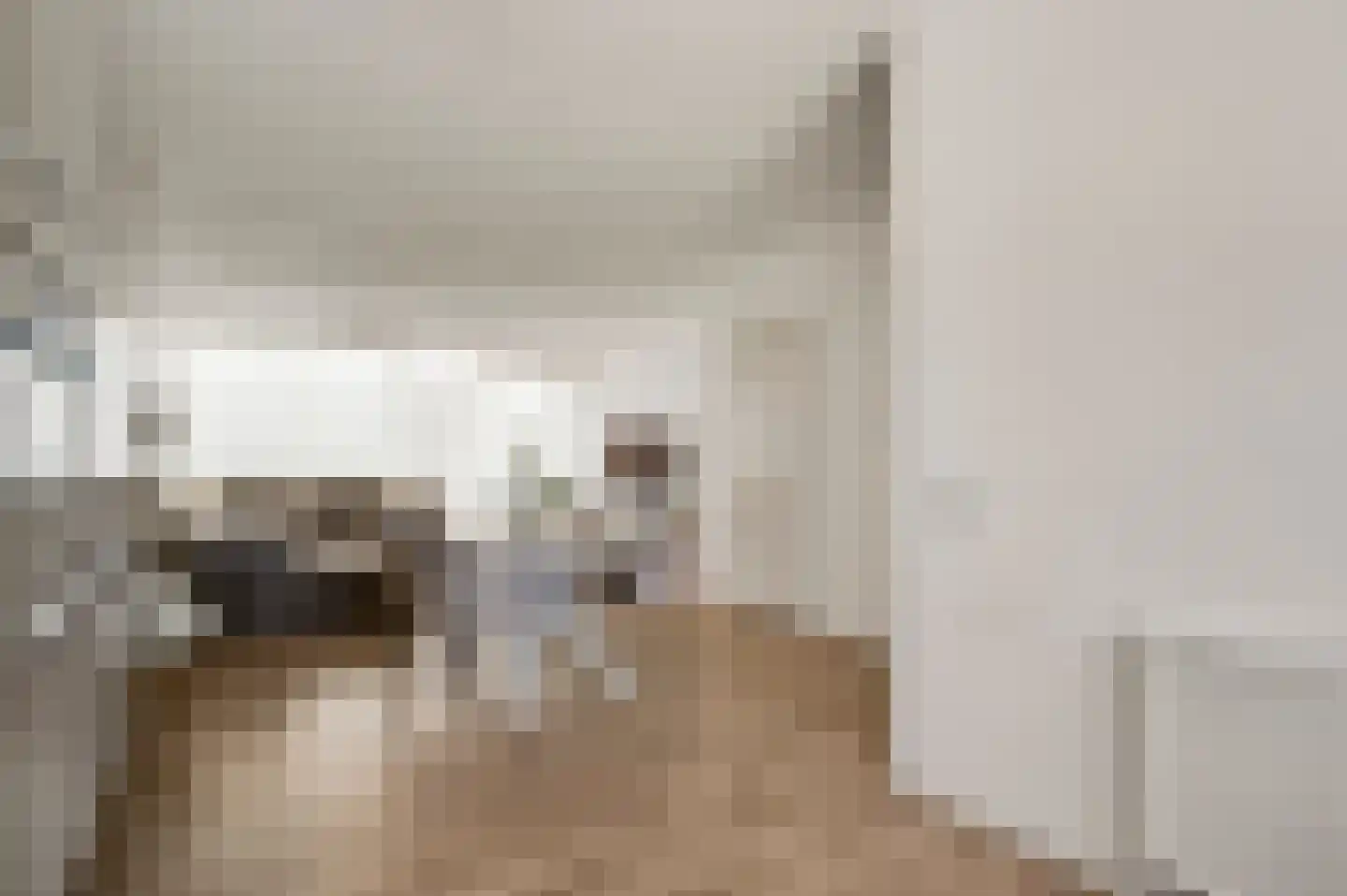 Kasteel Malborghstraat 3 Roermond thumbnail 19