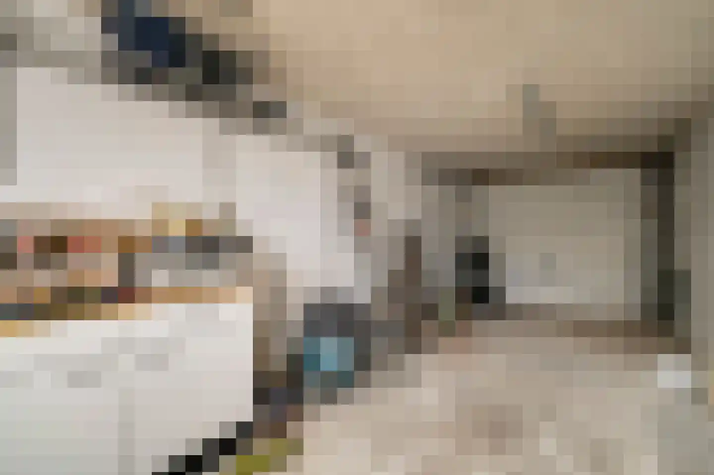 Kasteel Malborghstraat 3 Roermond thumbnail 20