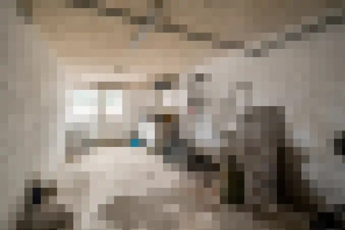 Kasteel Malborghstraat 3 Roermond thumbnail 21
