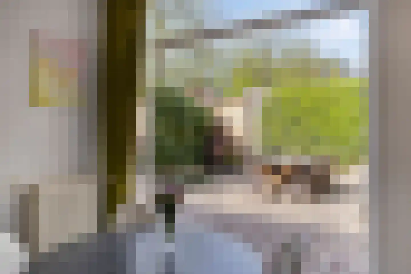Kasteel Montfoortstraat 38 Tilburg thumbnail 16