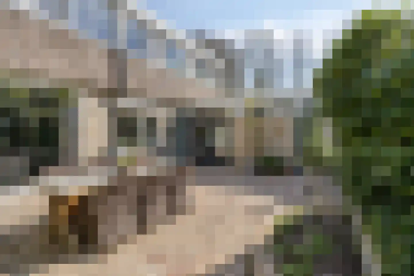 Kasteel Montfoortstraat 38 Tilburg thumbnail 38