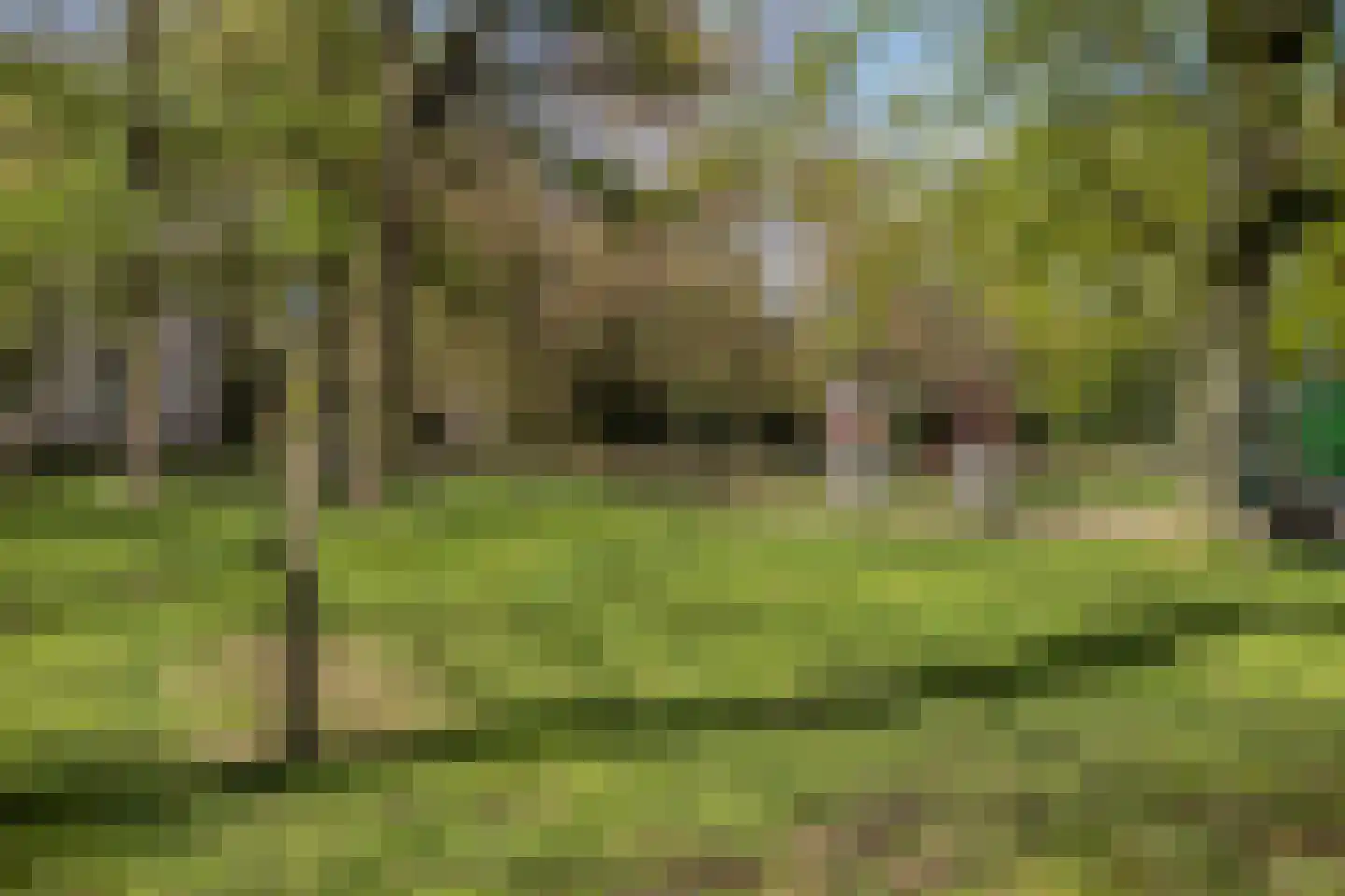 Kasteel Montfoortstraat 38 Tilburg thumbnail 48