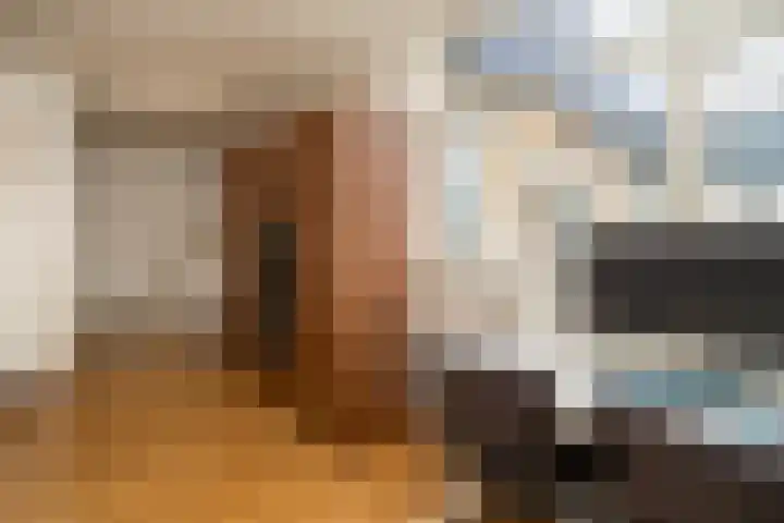 Kasteel Nemerlaerstraat 5 Tilburg thumbnail 23