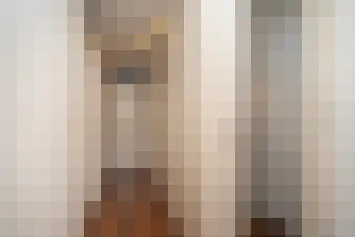 Kasteel Nemerlaerstraat 5 Tilburg thumbnail 25