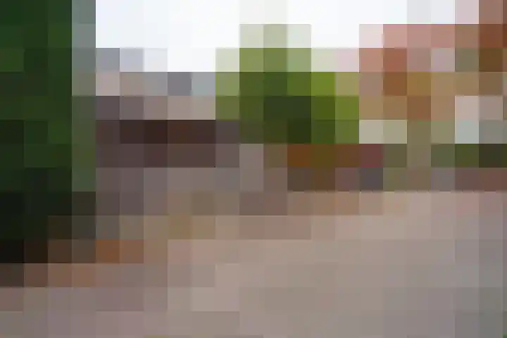 Kasteel Nemerlaerstraat 5 Tilburg thumbnail 6