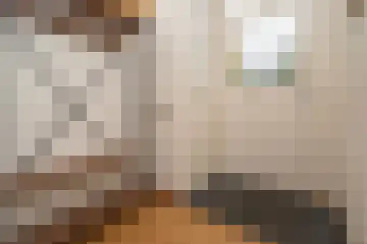 Kasteel Nemerlaerstraat 5 Tilburg thumbnail 8