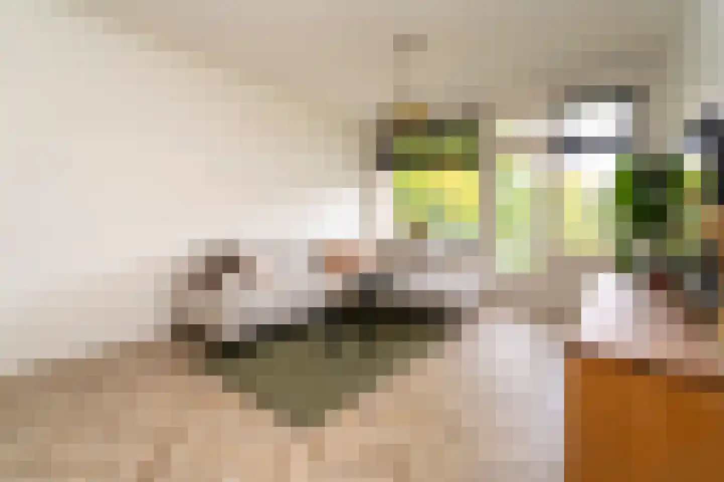 Kasteel Nijenrodestraat 199 Tilburg thumbnail 15