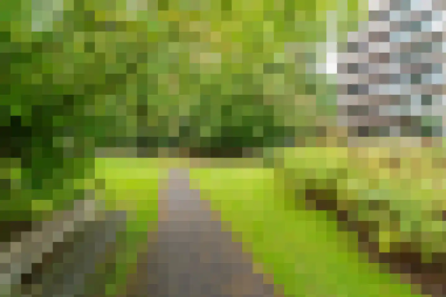 Kasteel Nijenrodestraat 199 Tilburg thumbnail 34