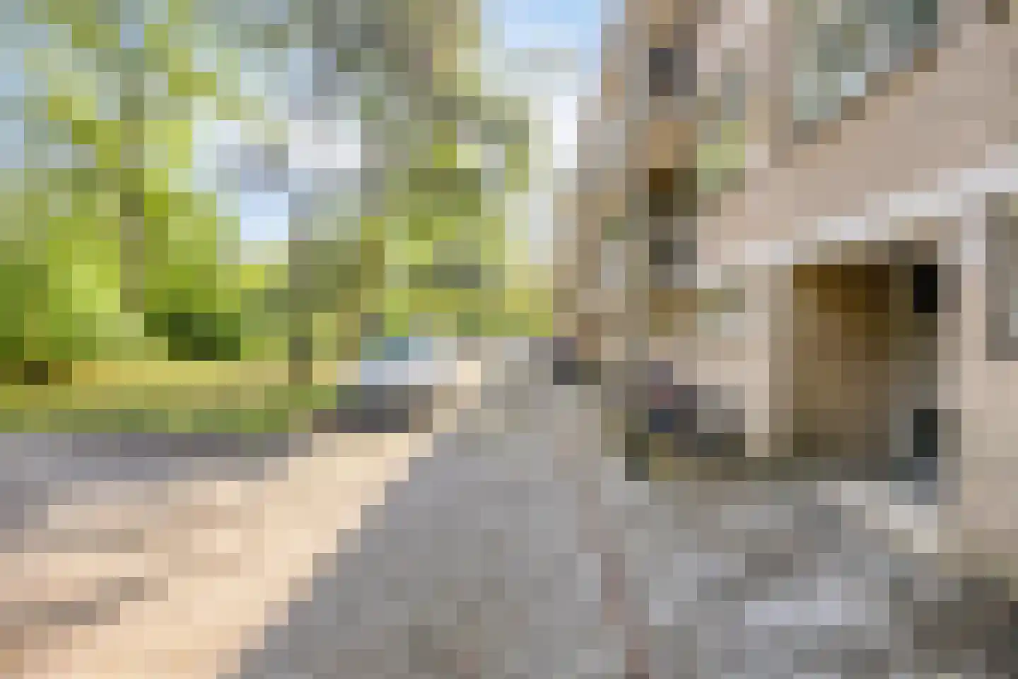 Kasteel Nijenrodestraat 219 Tilburg thumbnail 7