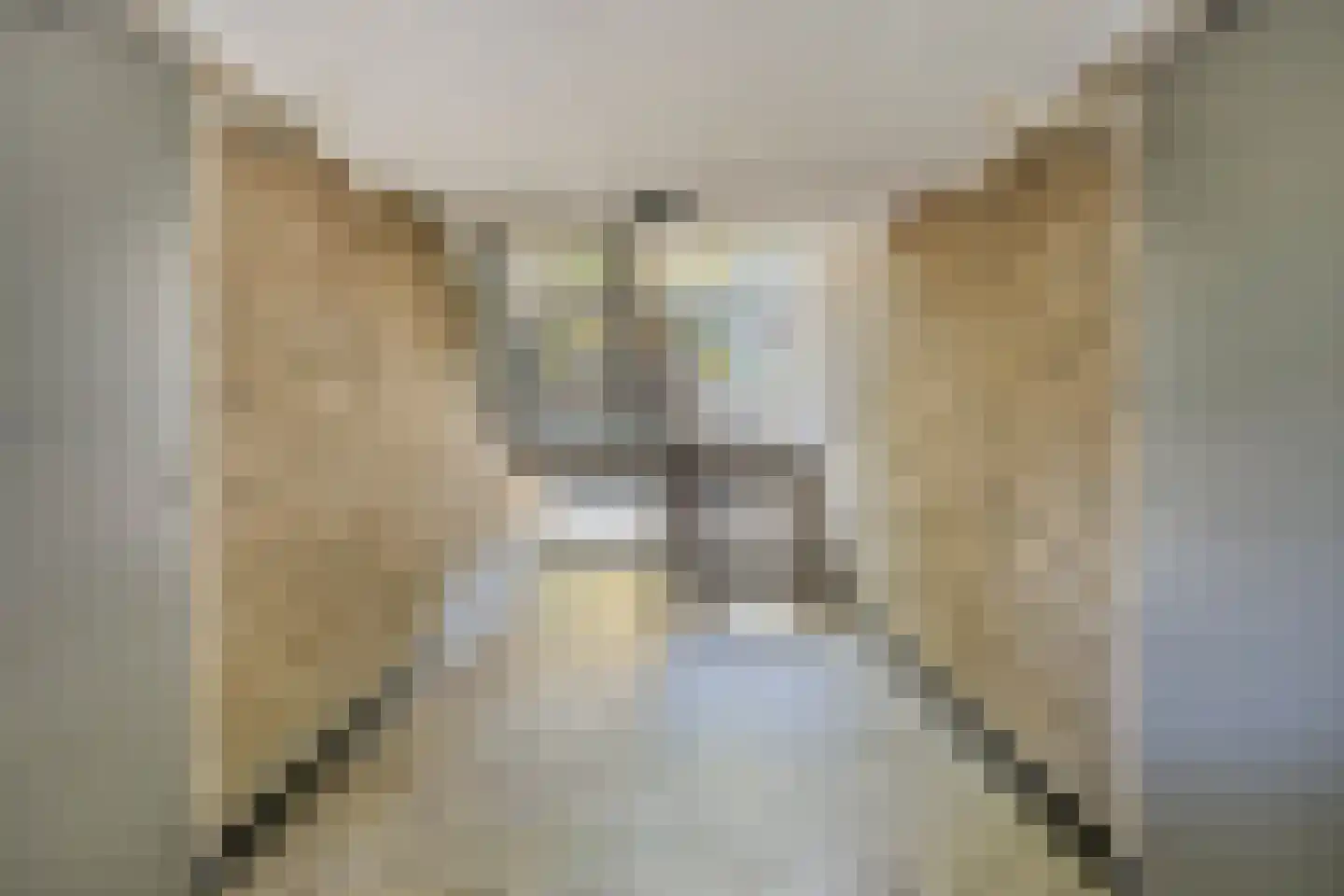 Kasteel Nijenrodestraat 219 Tilburg thumbnail 9