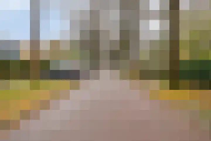 Kasteel Nijenrodestraat 255 Tilburg thumbnail 19