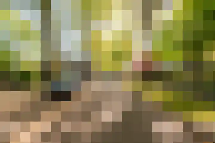 Kasteel Nijenrodestraat 255 Tilburg thumbnail 22