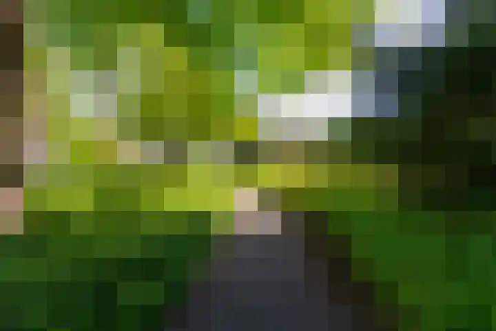 Kasteel Nijenrodestraat 255 Tilburg thumbnail 23
