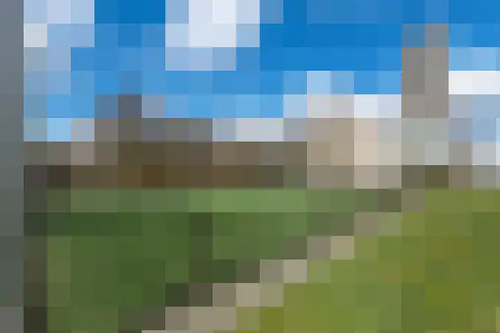 Kasteel Nijenrodestraat 255 Tilburg thumbnail 25