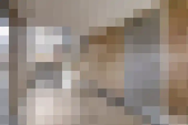 Kasteel Nijenrodestraat 255 Tilburg thumbnail 4