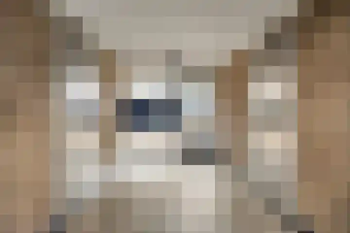 Kasteel Nijenrodestraat 255 Tilburg thumbnail 5