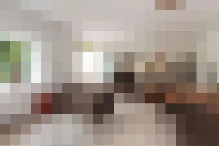 Kasteel Nijenrodestraat 82 Tilburg thumbnail 12