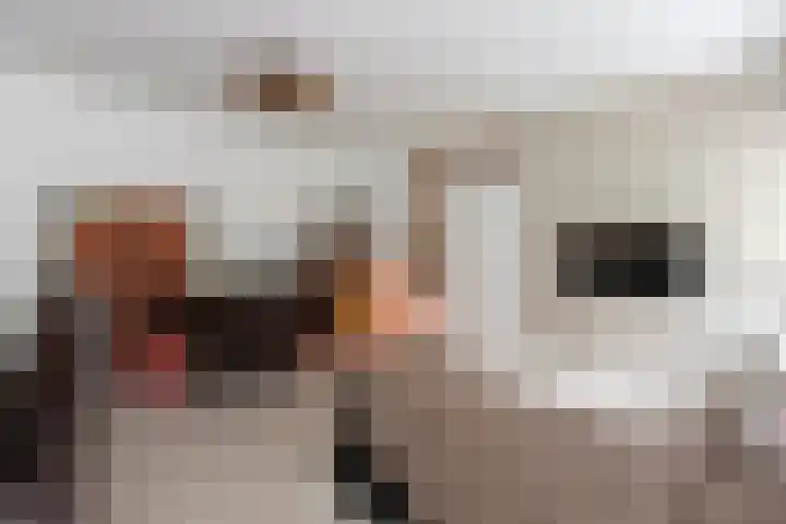 Kasteel Nijenrodestraat 82 Tilburg thumbnail 15