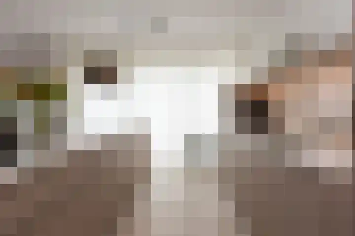 Kasteel Nijenrodestraat 82 Tilburg thumbnail 18