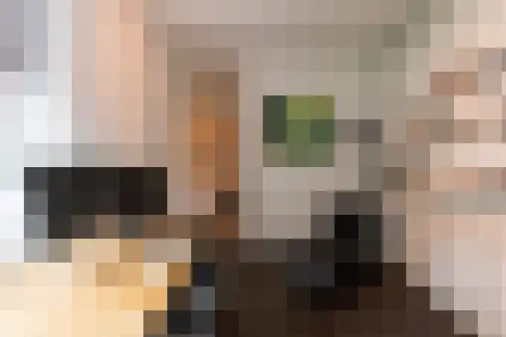 Kasteel Nijenrodestraat 82 Tilburg thumbnail 20