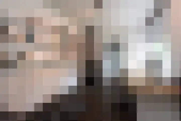 Kasteel Nijenrodestraat 82 Tilburg thumbnail 21