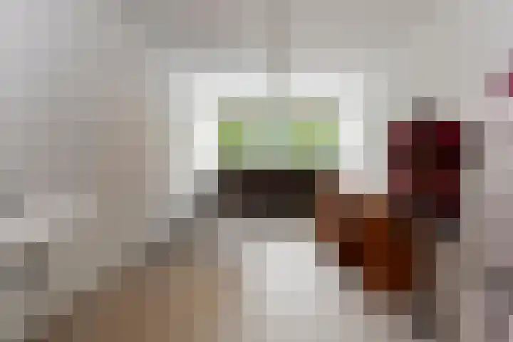 Kasteel Nijenrodestraat 82 Tilburg thumbnail 27