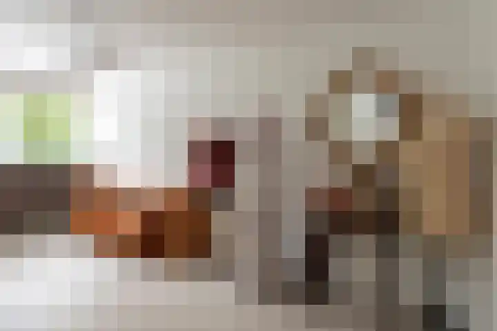 Kasteel Nijenrodestraat 82 Tilburg thumbnail 28
