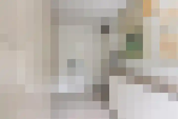 Kasteel Nijenrodestraat 82 Tilburg thumbnail 30