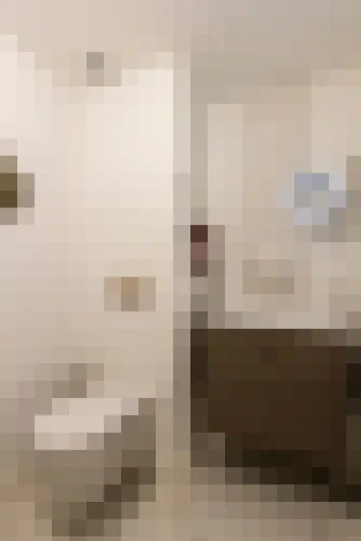 Kasteel Nijenrodestraat 82 Tilburg thumbnail 36