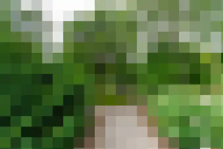 Kasteel Nijenrodestraat 82 Tilburg thumbnail 42
