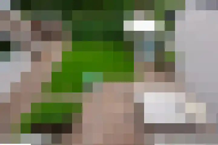 Kasteel Nijenrodestraat 82 Tilburg thumbnail 5