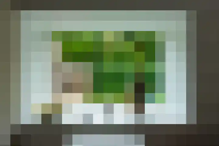 Kasteel Nijenrodestraat 82 Tilburg thumbnail 7