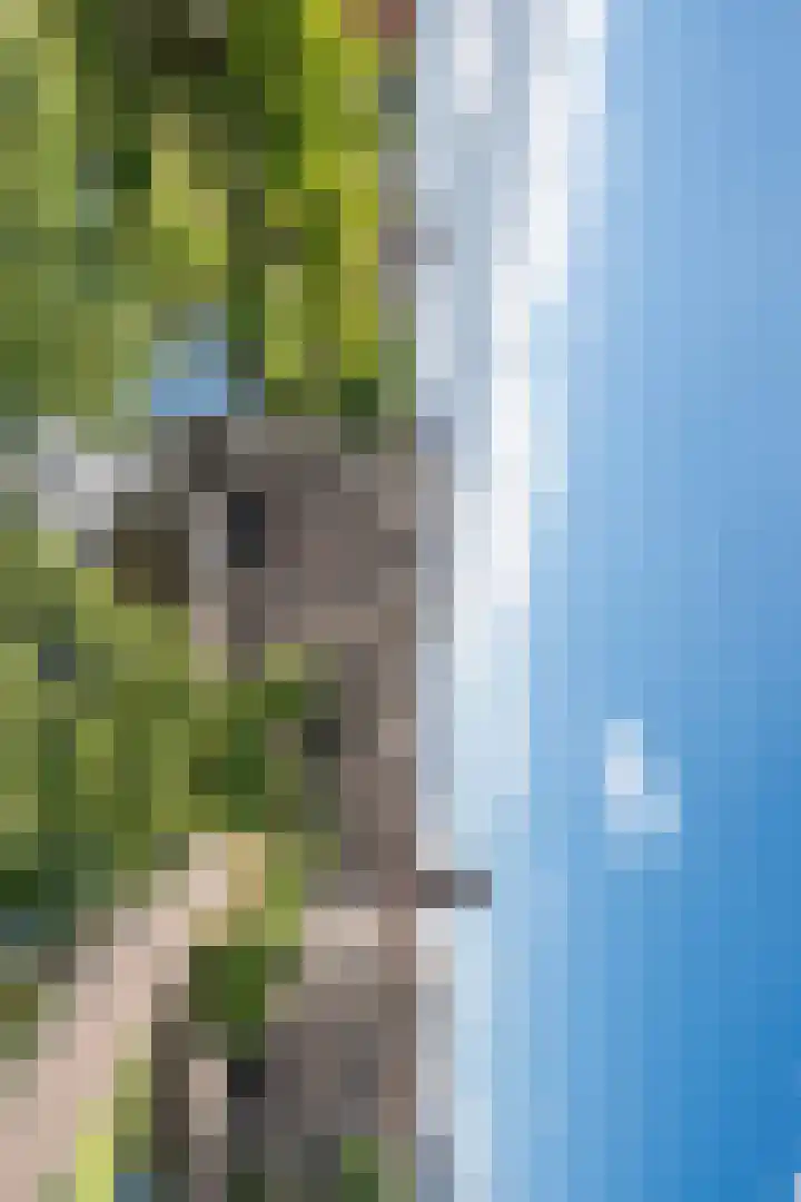 Kasteel-Noord 19 Helmond thumbnail 33