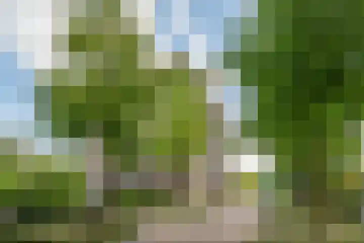 Kasteel-Noord 19 Helmond thumbnail 9