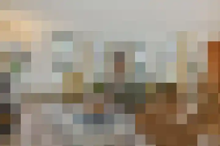 Kasteel-Noord 2 Helmond thumbnail 11